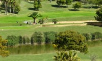 bonalba golf course